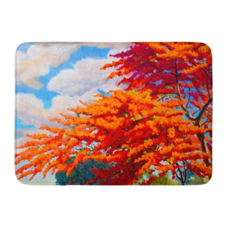Orange Oil Painting (GODPOK Oil Painting Landscape Original Red Orange Color of Peacock Flowers on Top View in The Morning Hand Blue Rug Doormat Bath Mat 23.6x15.7)