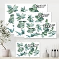 thumbnail image 4 of Designart ' Eucalyptus Leaves In Dark Green ' Traditional Canvas Wall Art Print, 4 of 4
