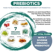 Vital Planet - Vital Flora Ultra Daily Shelf Stable Probiotic 60 Capsules