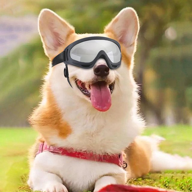 CBFFDC Lunettes de Protection pour Chien avec Sangles Réglables Protection UV Lunettes de Soleil Anti-Buée pour Extérieur Conduite Chiot