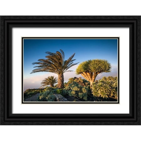 Bibikow, Walter 24x17 Black Ornate Wood Framed with Double Matting Museum Art Print Titled - Canary Islands-El Hierro Island-Guarazoca-Mirador de la Pena