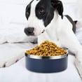 thumbnail image 4 of Small Dog Food Bowls.Stainless Steel No Spill Dog Food Water Bowls.(42 OZ ) - blue, 4 of 6