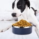 thumbnail image 4 of Tazones de comida para perros pequeños Laklulu. Tazones de agua para comida para perros de acero inoxidable sin derrames. (42 OZ), 4 of 6
