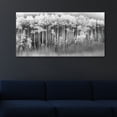 thumbnail image 2 of Dreamy Aspen by Danita Delimont Canvas Art Print, 2 of 4