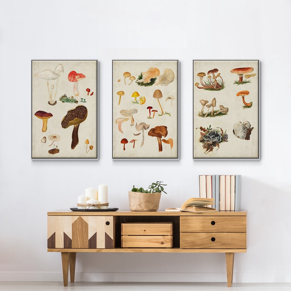 Mushroom Species X - Framed Premium Gallery Wrapped Canvas L Frame 3 Piece Set - Ready to Hang