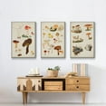 thumbnail image 6 of Mushroom Species X - Framed Premium Gallery Wrapped Canvas L Frame 3 Piece Set - Ready to Hang, 6 of 9