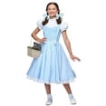 thumbnail image 2 of Deluxe Kansas Girl Kids Costume, 2 of 3
