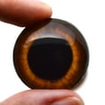 thumbnail image 5 of Brown Rabbit Hare Glass Eyes, 5 of 7