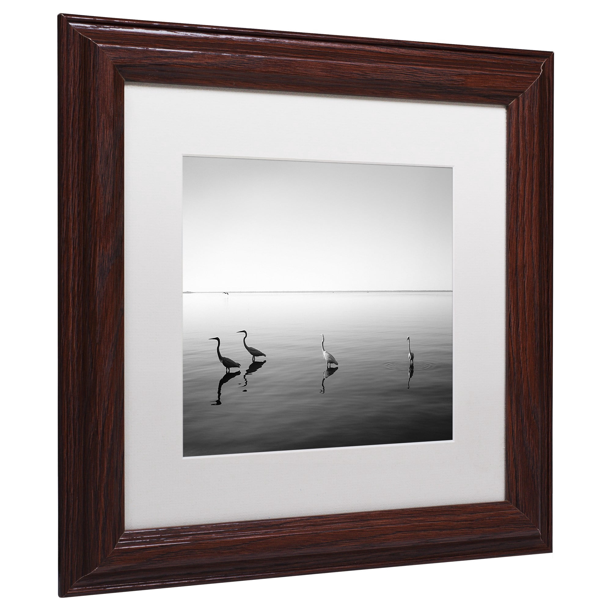 Trademark Fine Art "4 Herons" Canvas Art by Moises Levy White Matte, Wood Frame