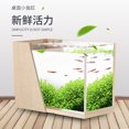 thumbnail image 4 of Desktop Fish Tank Water Free Mini Side Filter Landscaping Acrylic Ecological Small Creative Office Aquarium Micro Tank Fish Tank, 4 of 5
