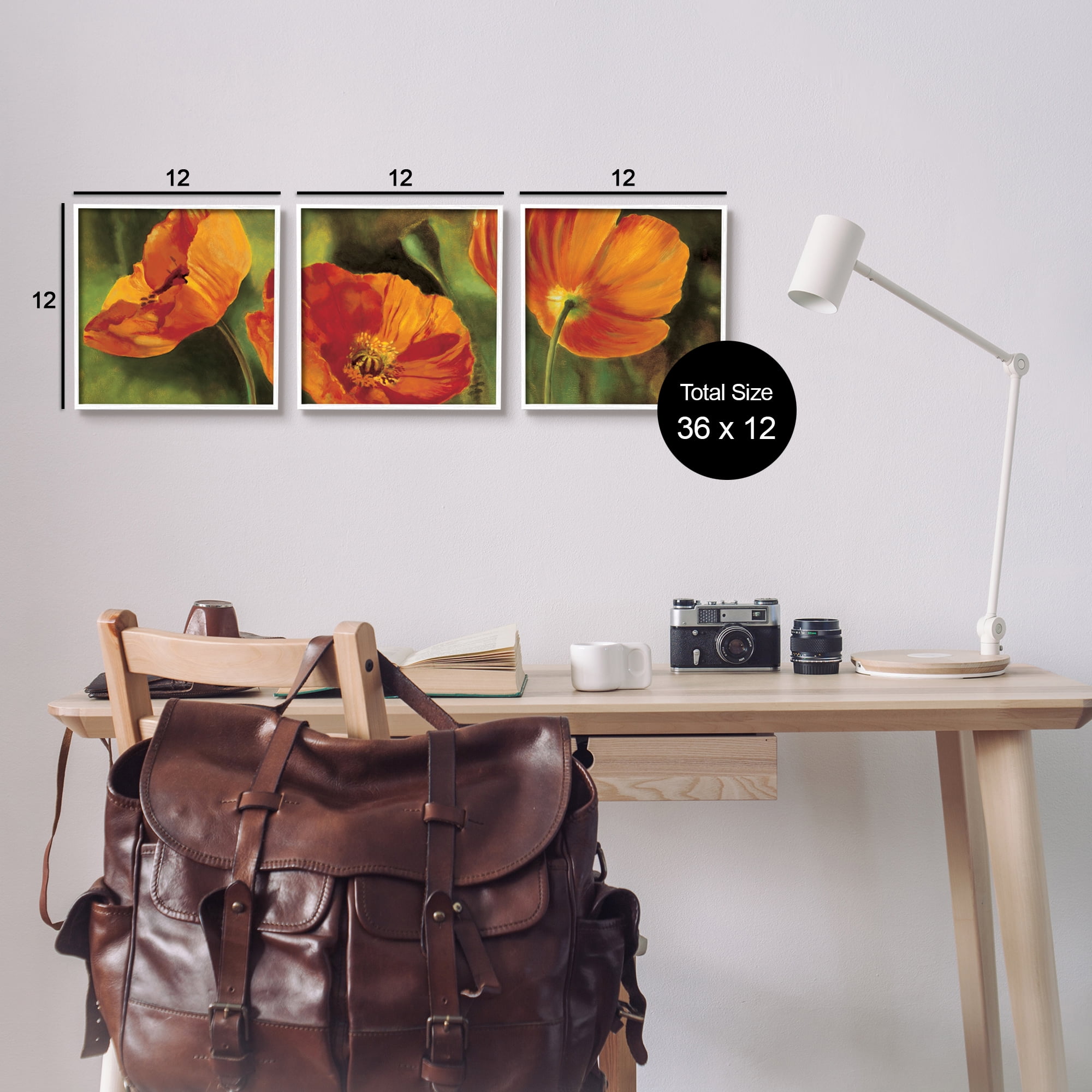Stupell Wild Poppy Blooms Flower Garden Botanical & Floral Painting White Framed Art Print Wall Art, Set of 3