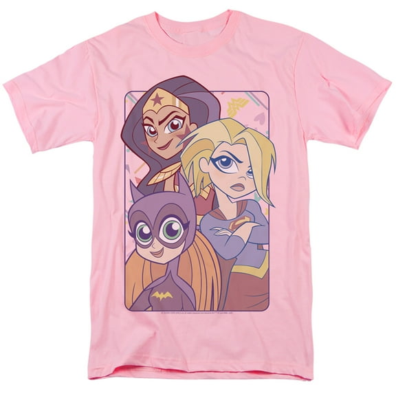 Dc Superhero Girls/Dont Box Us In S/S Adult 18/1-Pink