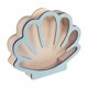 thumbnail image 1 of Wooden Shell Shaped Display Organizer Oak Acrylic Box Indoor Decoration, 1 of 5