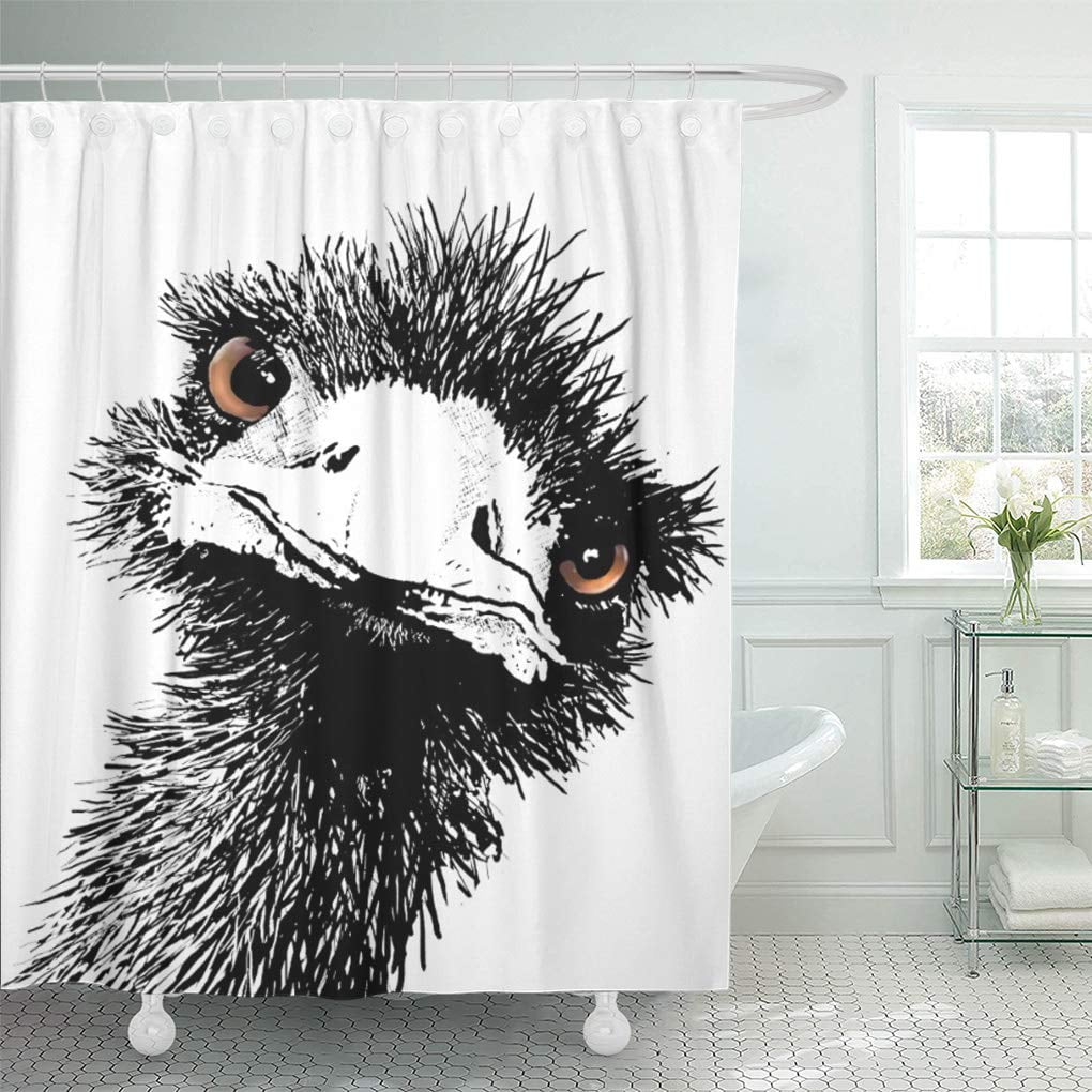 Atabie Bird Emu Pen And Ink Wildlife Australian Whimsical Shower Curtain 60x72 Inch Walmartcom Walmartcom Atabie Bird Emu Pen And Ink Wildlife Australian Whimsical Shower Curtain 60x72 Inch Walmartcom Walmartcom