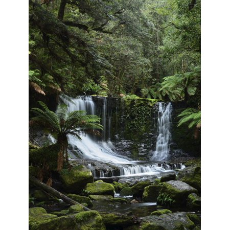 Horseshoe Falls, Mount Field National Park, UNESCO World Heritage Site, Tasmania, Australia Print Wall Art By Jochen