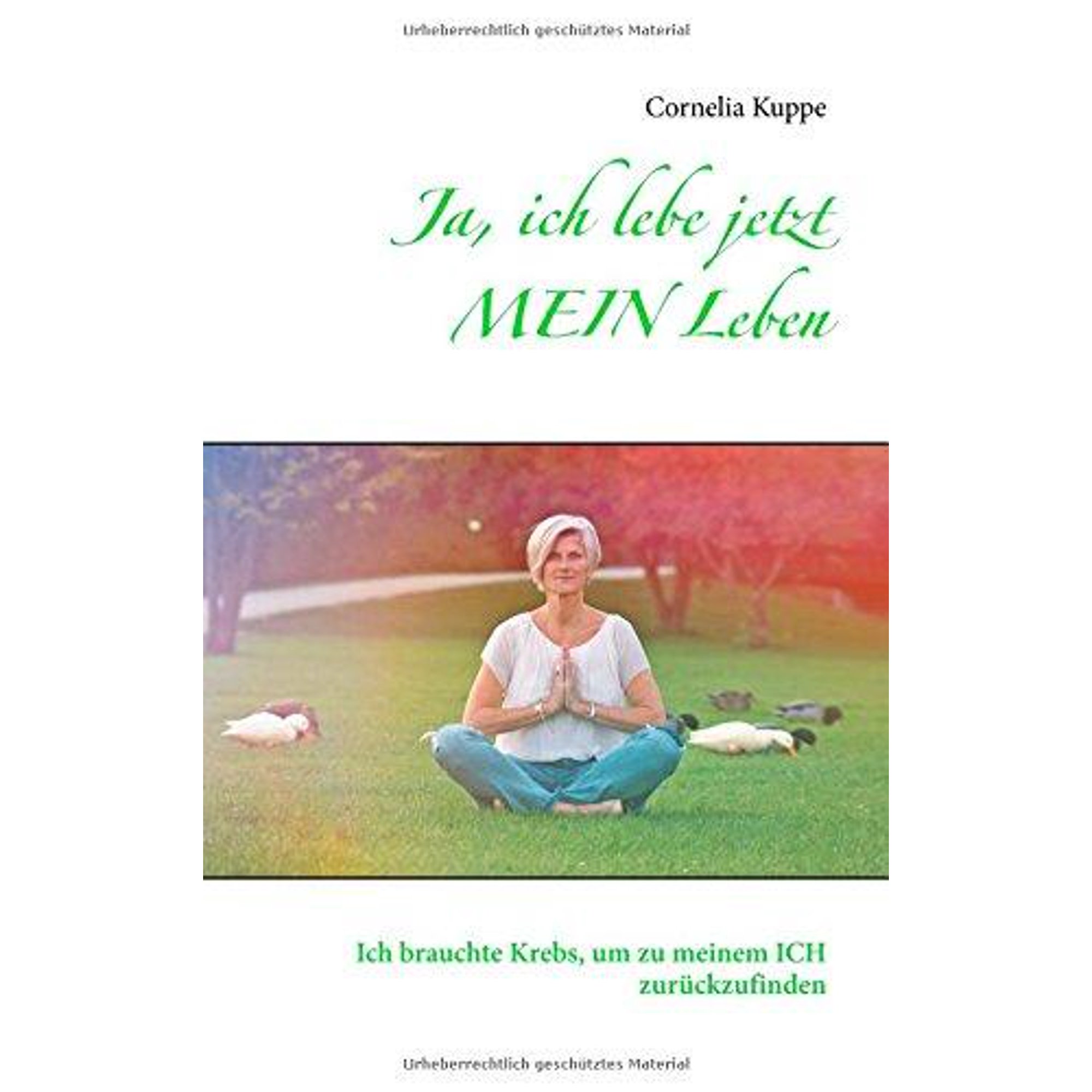 Download Ich lebe mein leben For iPhone Free