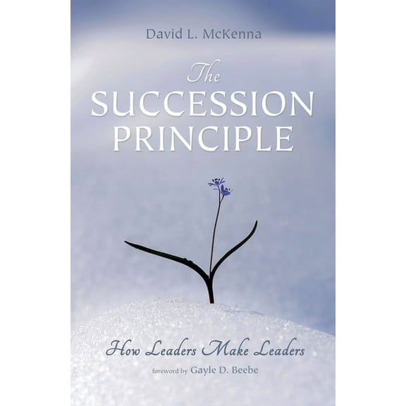 The Succession Principle (Hardcover)