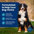 thumbnail image 5 of Blue Buffalo Life Protection Formula Adult Dry Dog Food, Beef & Brown Rice, 30lb Bag, 5 of 13