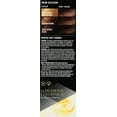 thumbnail image 2 of Revlon Luxurious Colorsilk Buttercream Hair Color, Dark Brown, 2 of 4