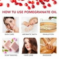 thumbnail image 3 of Aliver Pomegranate Seed Oil, 100% Pure & Natural,Enhance Skin Elasticity,For All Skin Types,2.02fl.oz, 3 of 9