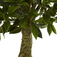thumbnail image 6 of Nearly Natural 5' Triple Bay Leaf Artificial Topiary UV Resistant (Indoor/Outdoor), Green, 6 of 6