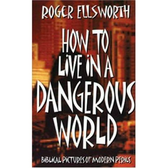 Pre-Owned How to Live in a Dangerous World (Paperback) 0852344163 9780852344163