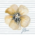 thumbnail image 2 of Pinto, Patricia 12x12 Black Ornate Wood Framed with Double Matting Museum Art Print Titled - Blossom and Grow II, 2 of 4