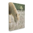 thumbnail image 3 of Stupell Industries Peaceful Palomino Horse Grazing Countryside Meadow Farmhouse Photography Gallery-Wrapped Canvas Print Wall Art, 24 x 30, Design by Leah Straatsma, 3 of 5