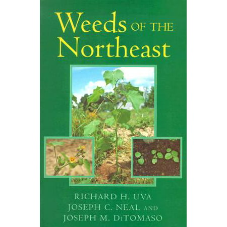Weeds of the Northeast (Best Time To Harvest Weed)