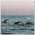 thumbnail image 1 of Picture-Tiles.com: Dolphin Ceramic Tile Wall Mural WAL500517-55XL. 60"W x 60"H using (25) 12" x 12" Ceramic Tiles-Satin Finish, 1 of 3