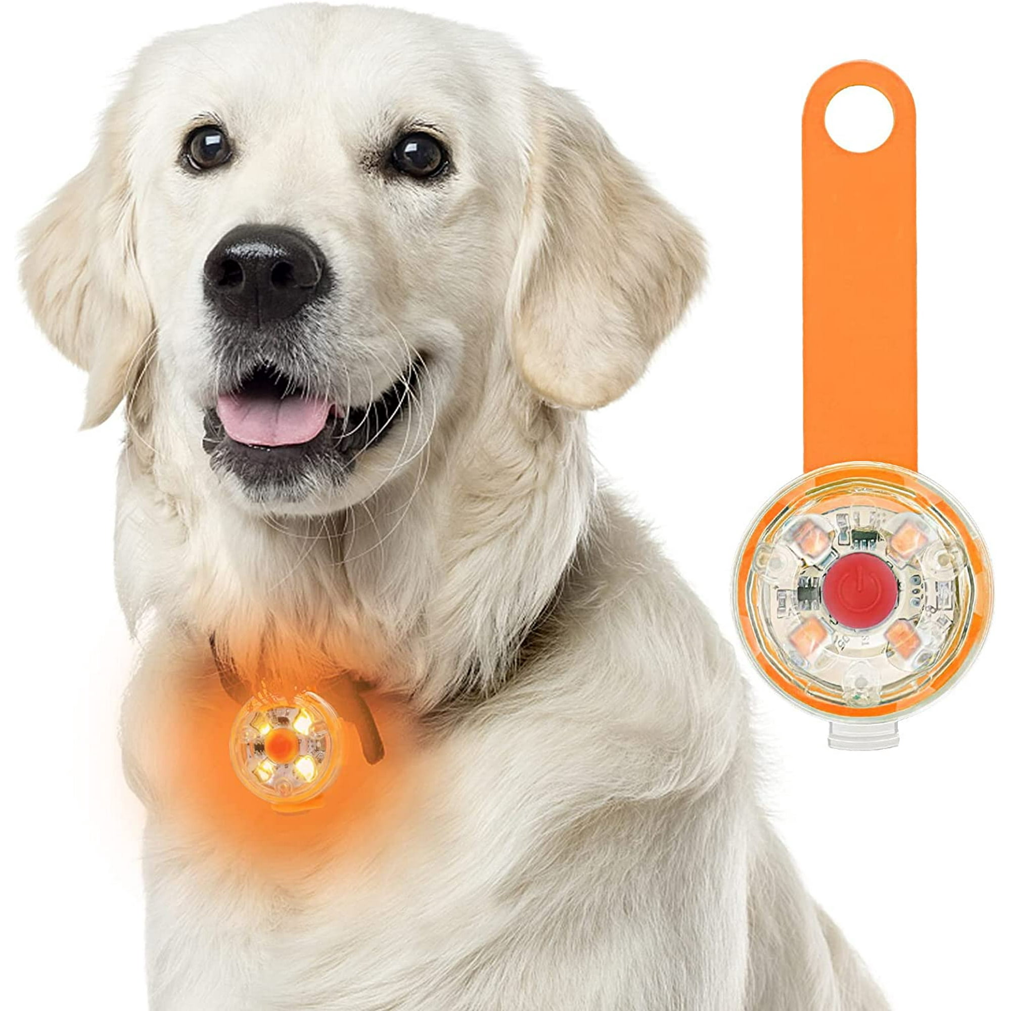SHAR Safety LED Flashing Light for Dogs Cats USB Rechargeable LED Dog Light 3 Flashing Modes Waterproof Safety Lights for Pets Walmart
