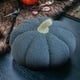 thumbnail image 5 of Fiudx Liquidación navideña Cojín de calabaza para Halloween, cojín de lana tejida, estilo calabaza, cojín para sofá de sala de estar, 5 of 5