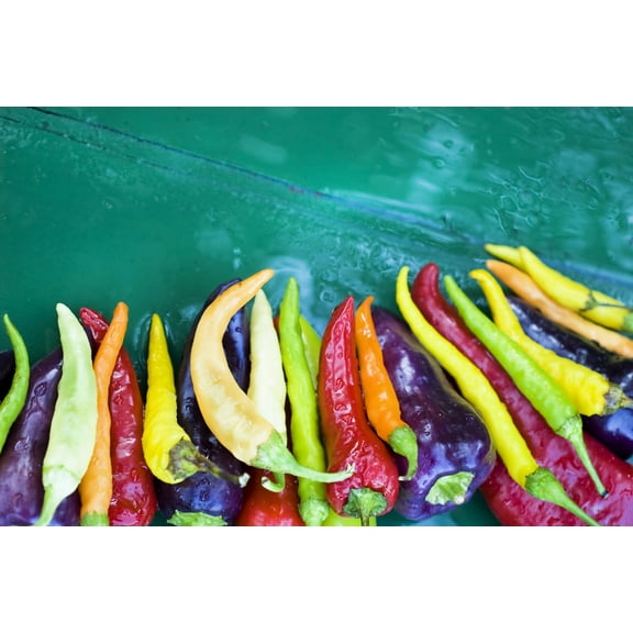 100 Seeds MIXED CAYENNE PEPPER Yellow Purple Orange Red Green Capsicum Vegetable