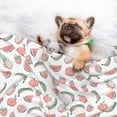 thumbnail image 3 of Sigee Fruit for Pet Blanket for Dog Cat Puppy Blanket Cat Blankets for Small and Medium Pets-Small, 3 of 8