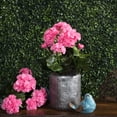 thumbnail image 4 of Vickerman 15.25" Artificial Pink Polyester Geranium Bush., 4 of 4