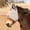 Gray, variant on Foal Cashel Crusader Standard Mule Donkey Fly Mask W/ Ears Grey
