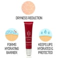 thumbnail image 2 of Bella Schneider Beauty Dimethicone Lip Balm, Culmine Lip-Salvation Lip Balm with Aloe & Citrus, Best Womens Daily Lip Balm For Super Soft and Plump Lips, Soothes & Hydrates Dry Chapped Lips, 2 of 3