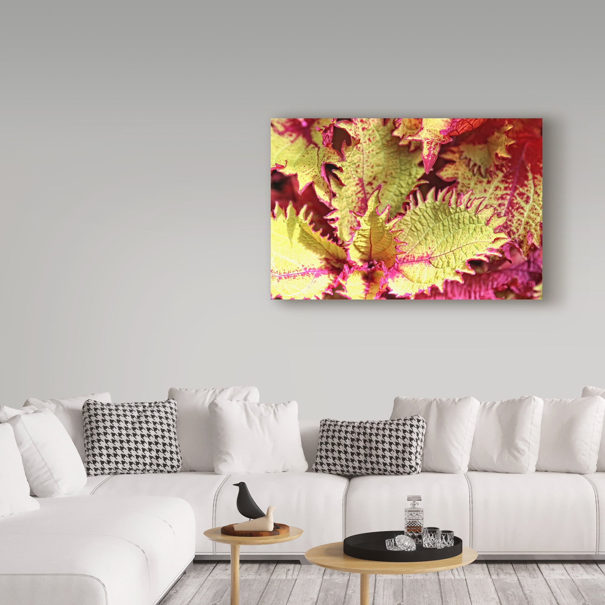 Trademark Fine Art 'Leafy Abstractions' Canvas Art by Beata Czyzowska Young