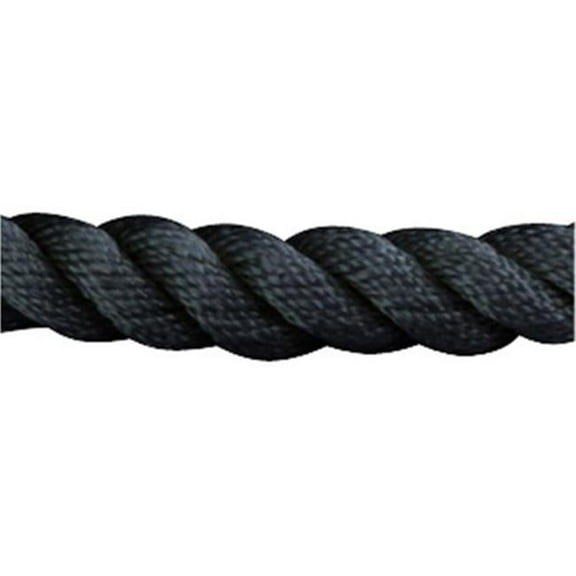 0.37 in. x 10 ft. Twisted Nylon Dock Line, Black
