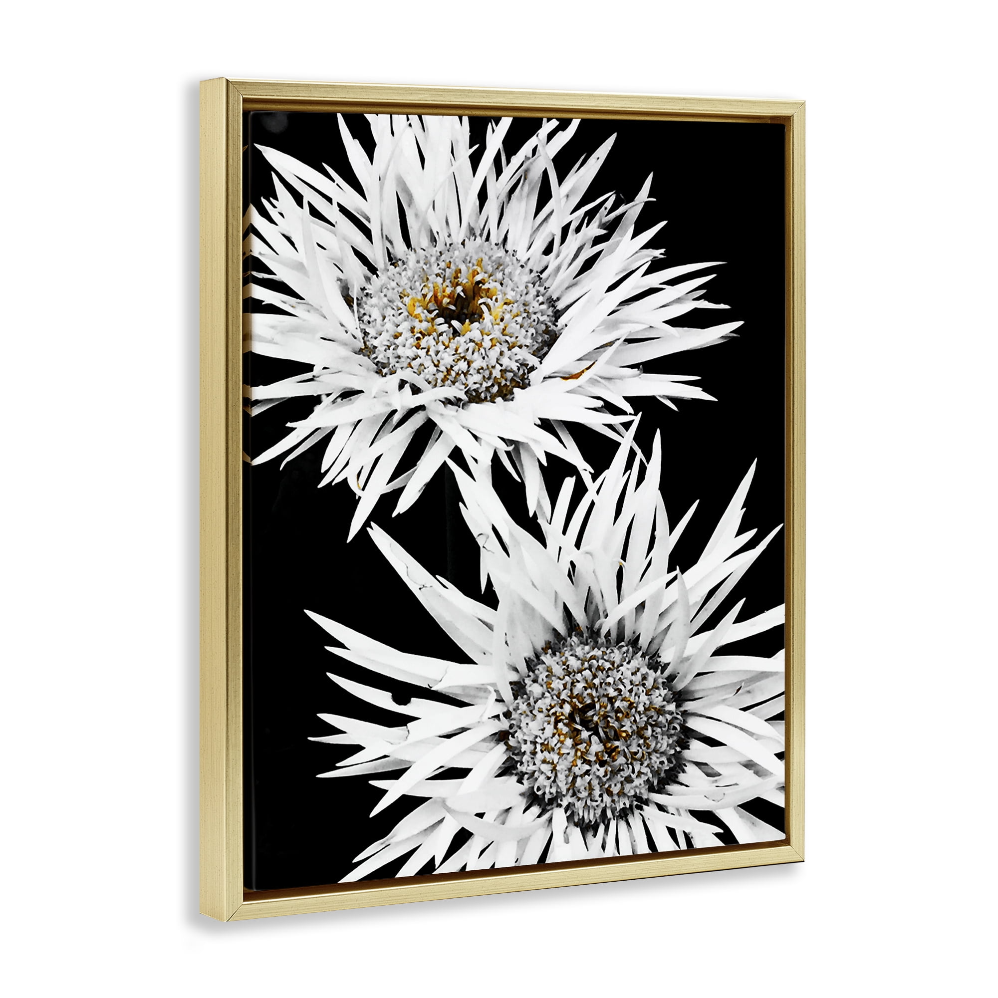 Stupell Industries Bold Contrast Flower Buds Plants & Flowers Painting Gold Floater Framed Canvas Art Print Wall Art, 17 x 21