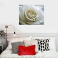 thumbnail image 4 of JRXY - Huge Roses in Pure White Wall Art Painting Pictures Print On Canvas Flower The Picture for Home Modern Decoration 16x12in, 4 of 4