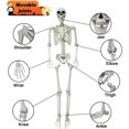 thumbnail image 4 of Esqueleto de Halloween de 5,4 pies/165 cm, esqueleto de tamaño completo con capa negra, huesos humanos de tamaño natural para Halloween, patio, jardín, decoración de fiesta espeluznante, 4 of 4
