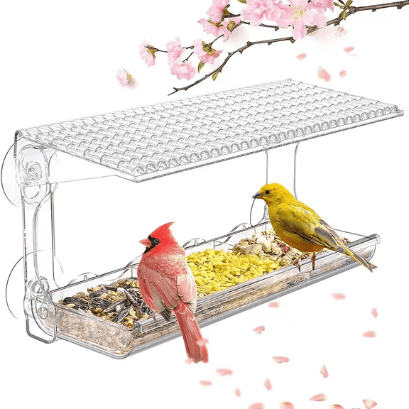 Bird Feeder for Outdoors, Acrylic Window Bird Feeder with Large Capacity, Heavy Duty Tray Holds for Home Garden, Removable Base with Drain Holes