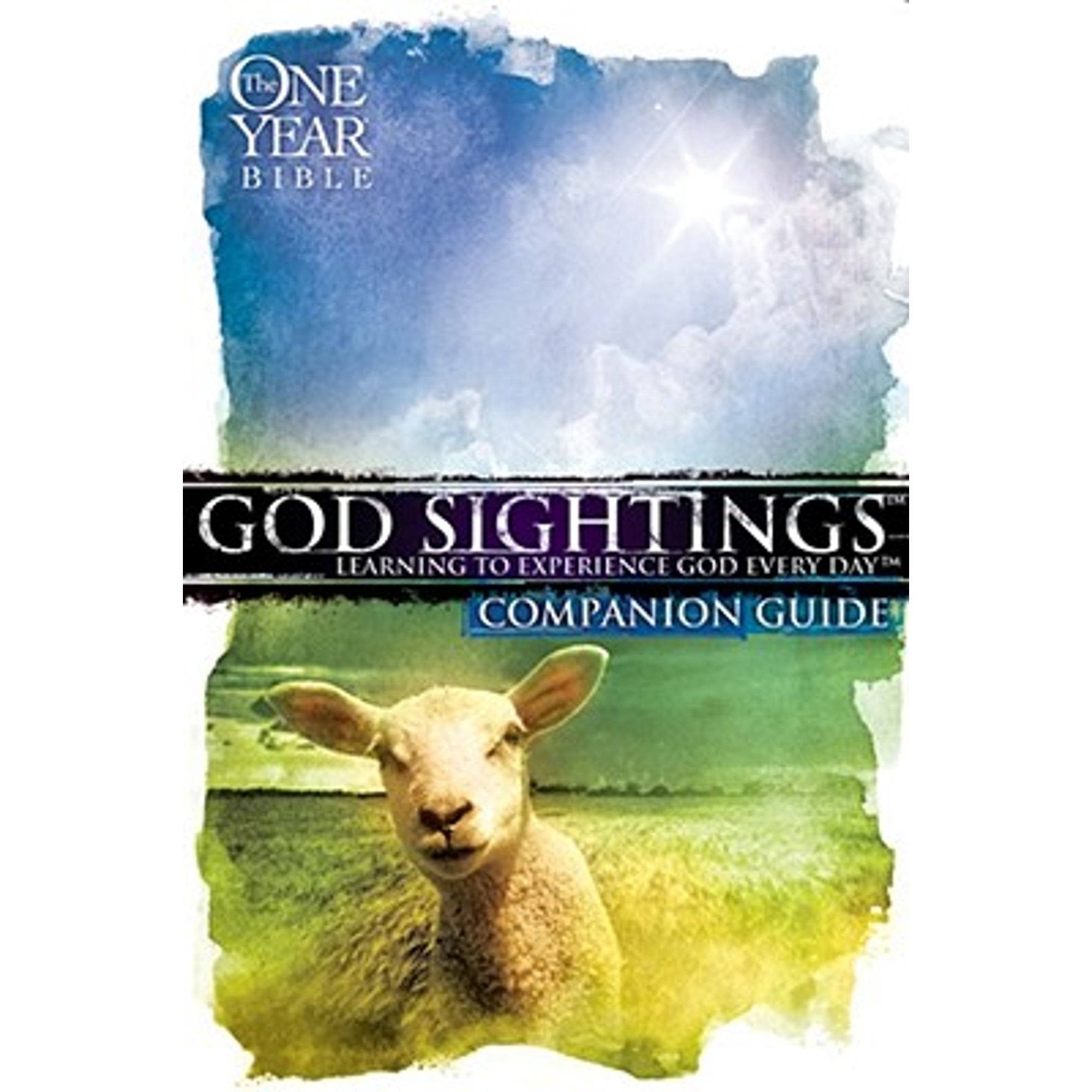God Sightings One Year Companion Guide (Paperback) by Candace McMahan