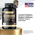 thumbnail image 3 of Gflow Vitamins Berberine HCl 1200 mg in vegetable capsules | Berberine Top Choices Made in the USA, 3 of 6