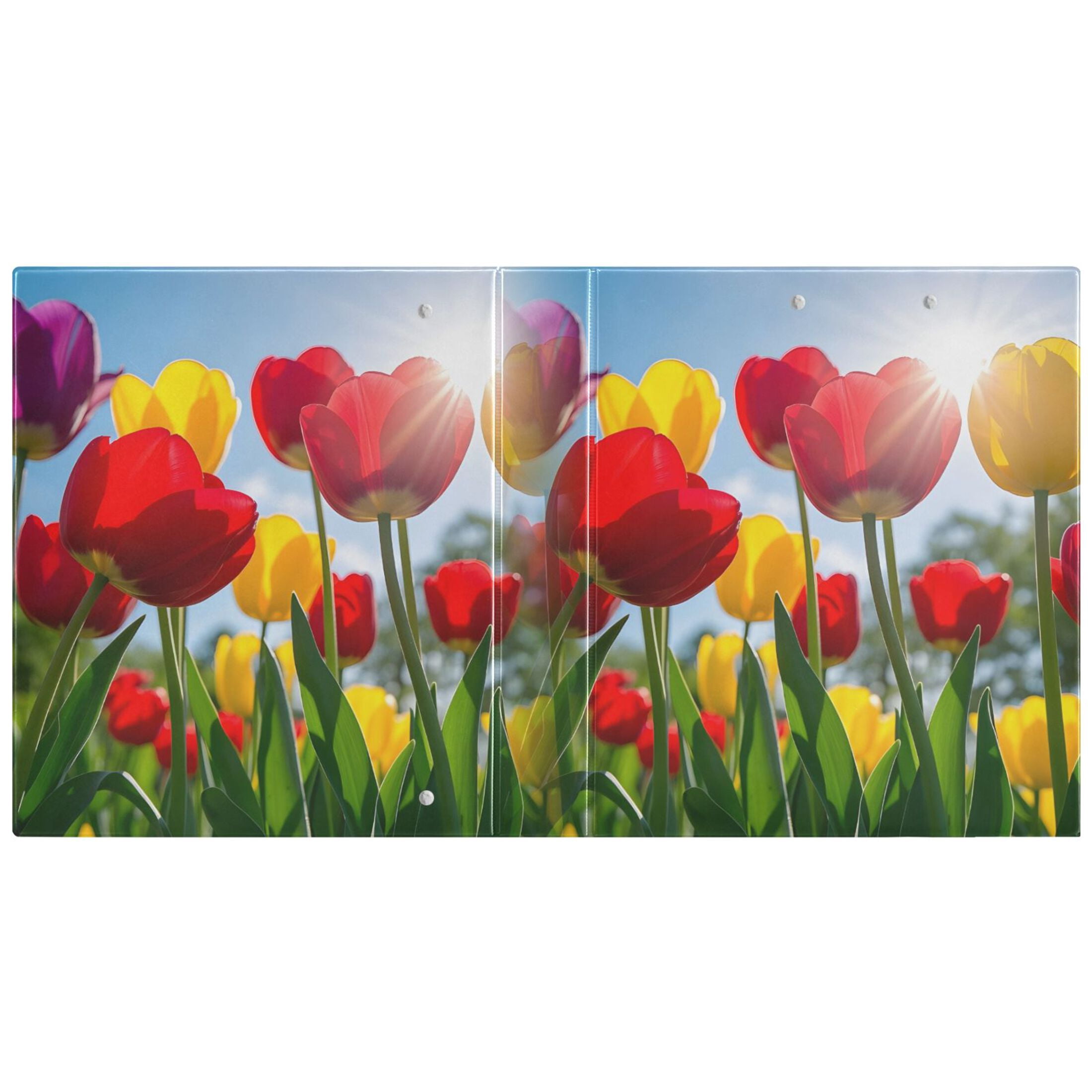joogoo Summer Tulip Flower-a5 Hardcover 3 Ring Binder 1.5" Round Rings Interior Pockets Binders Organizer 2 Pack