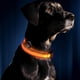 thumbnail image 4 of Collar LED USB para perro Collar LED brillante Collar recargable (M) Naranja, 4 of 6