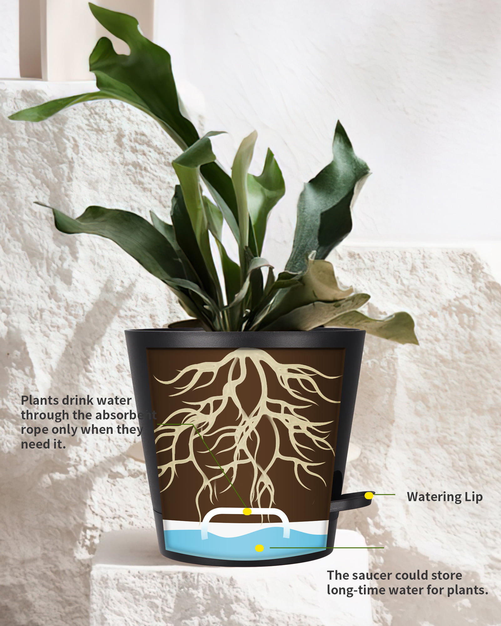 公式オンラインストア Sin wings Black Flower Pots，6 Inch Ceramic Plant Pots for Plants  鉢、プランター MAILGERIMOB