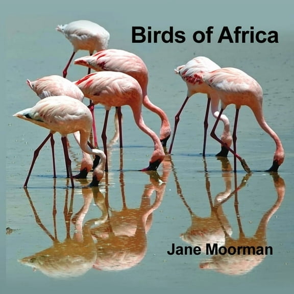 Birds of Africa, (Paperback)