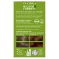 thumbnail image 4 of Clairol Natural Instincts Demi-Permanent Hair Color Crème 6R Light Auburn, 1 Application, 4 of 12